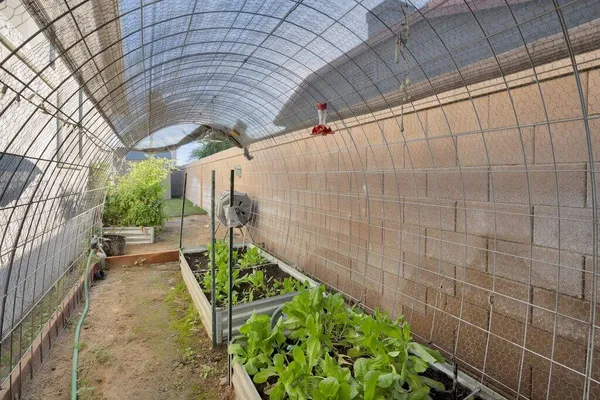 $3,450 | 45180 Debbie Drive, La Quinta, CA 92253