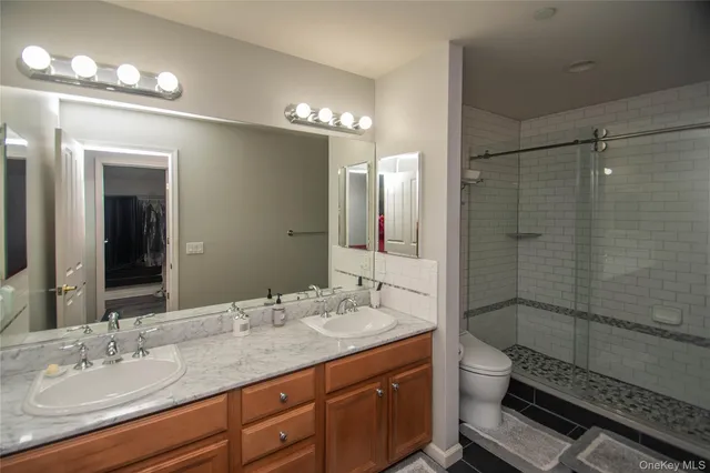 a bathroom with a double vanity sink mirror and toilet