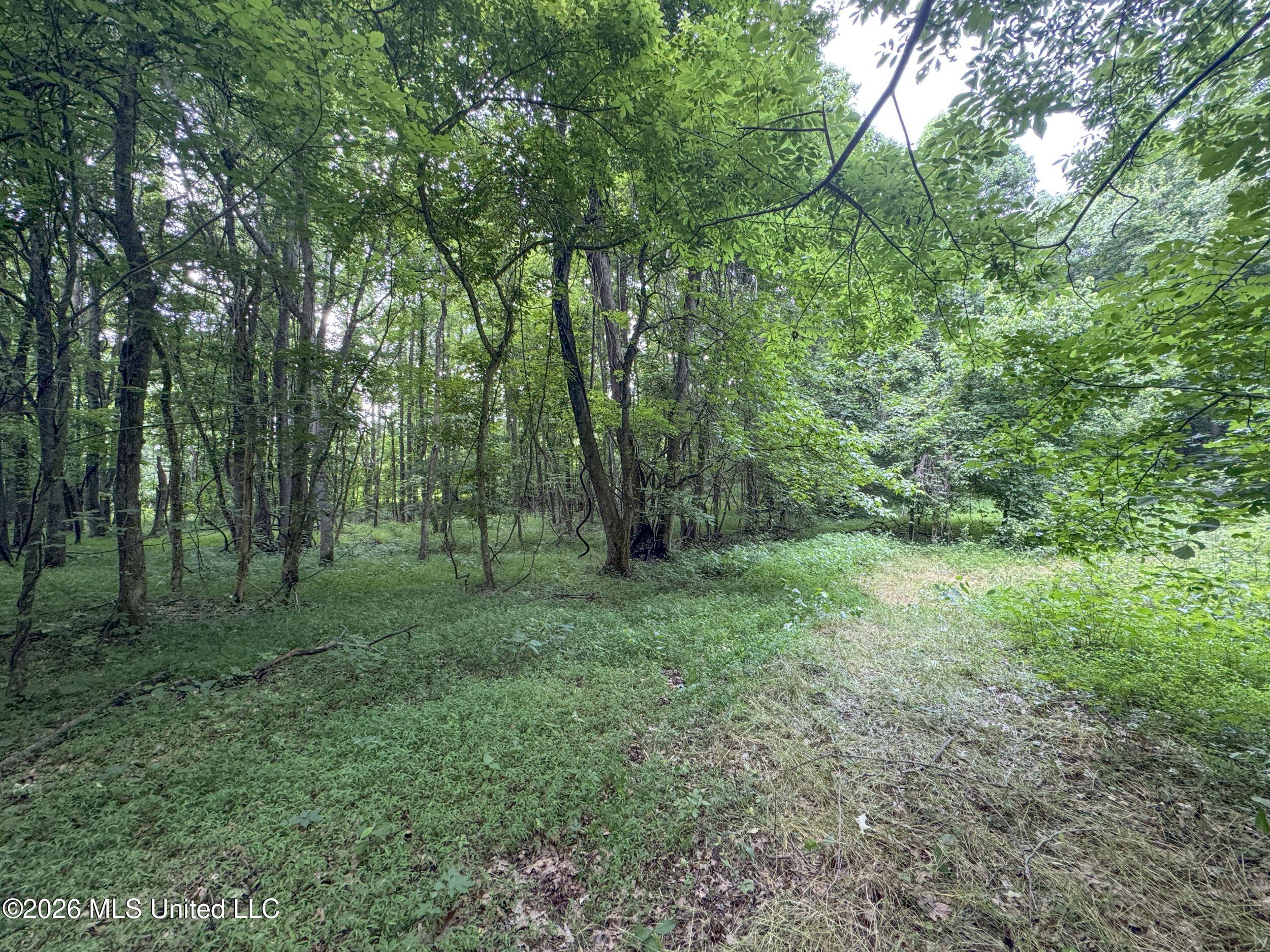 884 Avant Road Crenshaw, MS 38621 - Photo 115 of 154 6dbyicr59