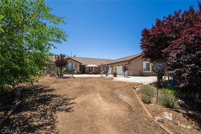 a front view of a house with a yard and a large tree