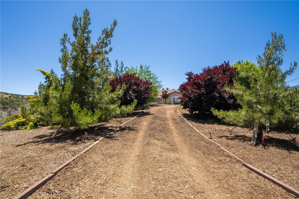 7575 Rancho Road Wrightwood, CA 92397 - Photo 25 of 32 a view of a pathway with a yard