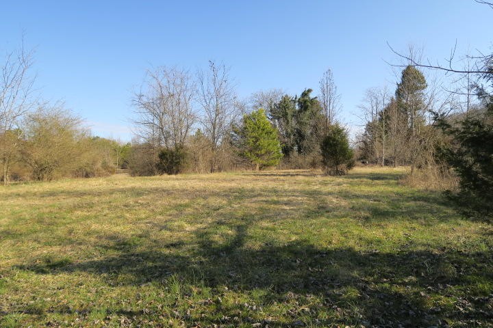 3726 Freels Road Friendsville, TN 37737 - Photo 12 of 26 Gallery Image 12