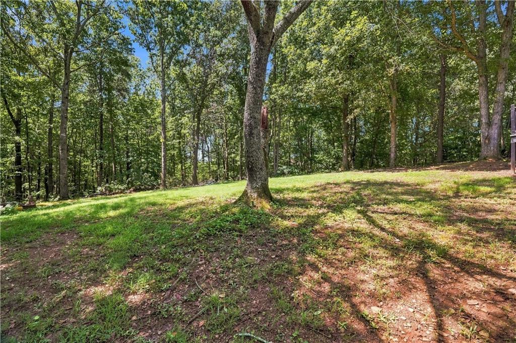 138 Smokestack Ridge Fairmount, GA 30139 - Photo 36 of 37 Gallery Image 36