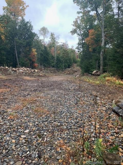 229 Old Monson Road Stafford, CT 06076 - Photo 1 of 1 a view of a dry yard with trees