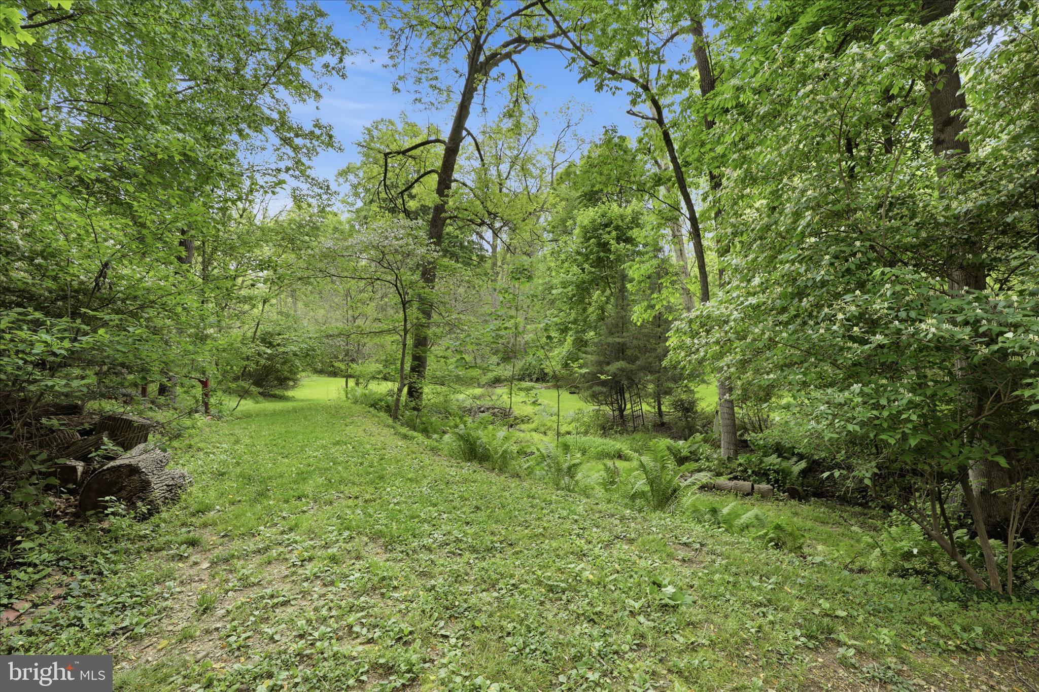 20 Star Lite Drive Lititz, PA 17543 - Photo 48 of 59 a view of yard