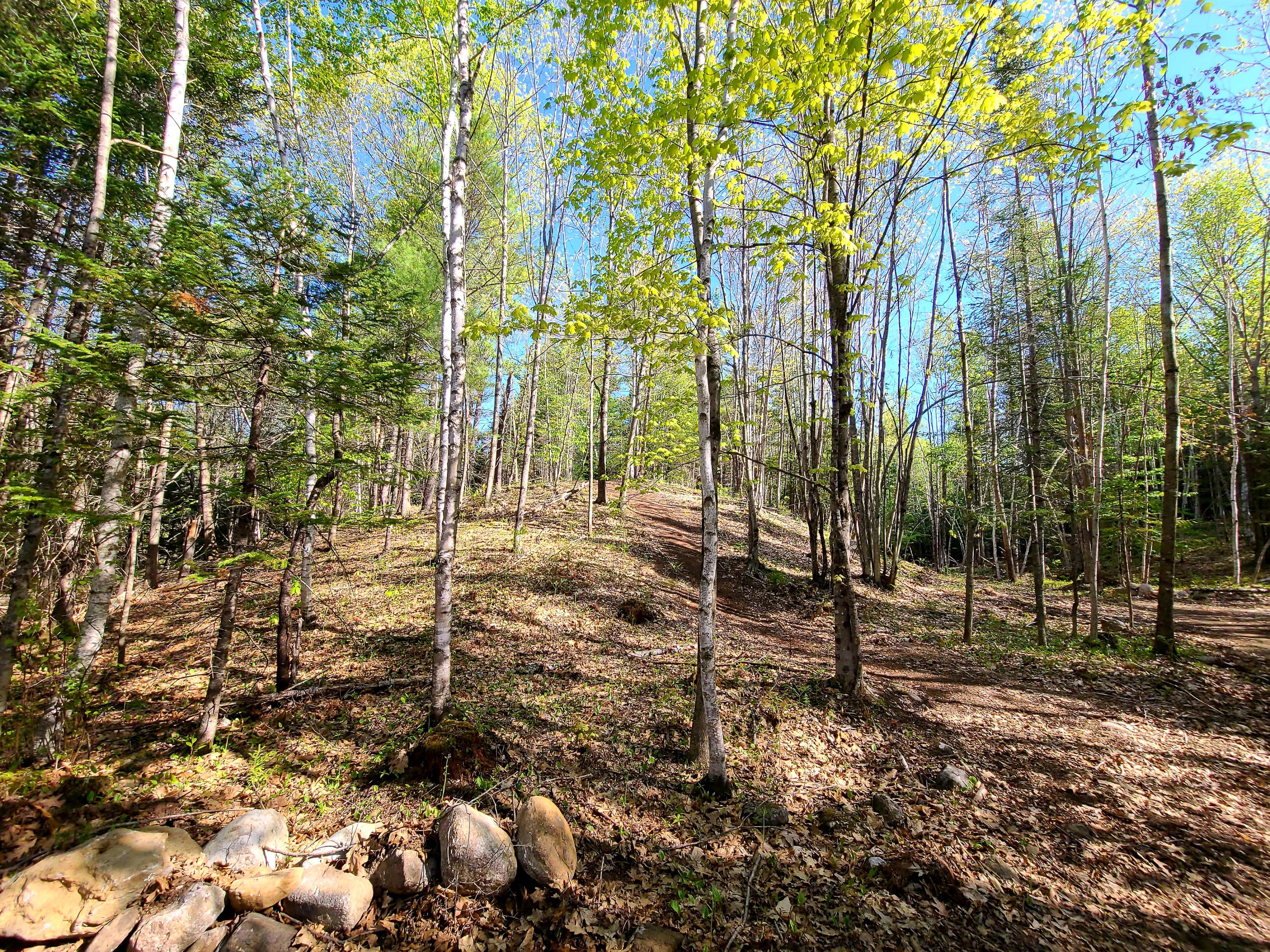 176 A Lane Road Greene, ME 04236 - Photo 5 of 6 20210515_085645
