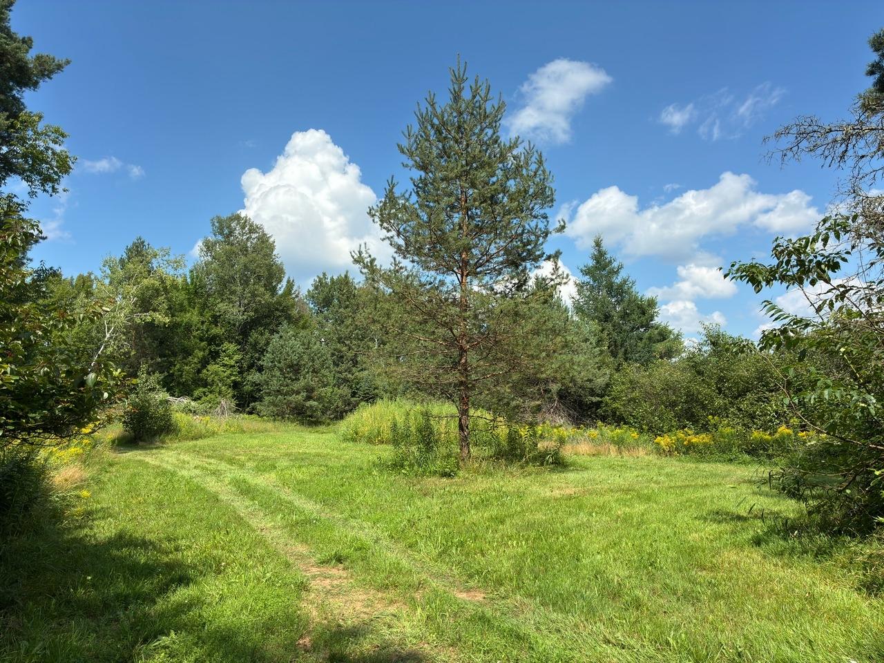 4634 Town Hall Road Hurley, WI 54534 - Photo 24 of 40 Gallery Image 24