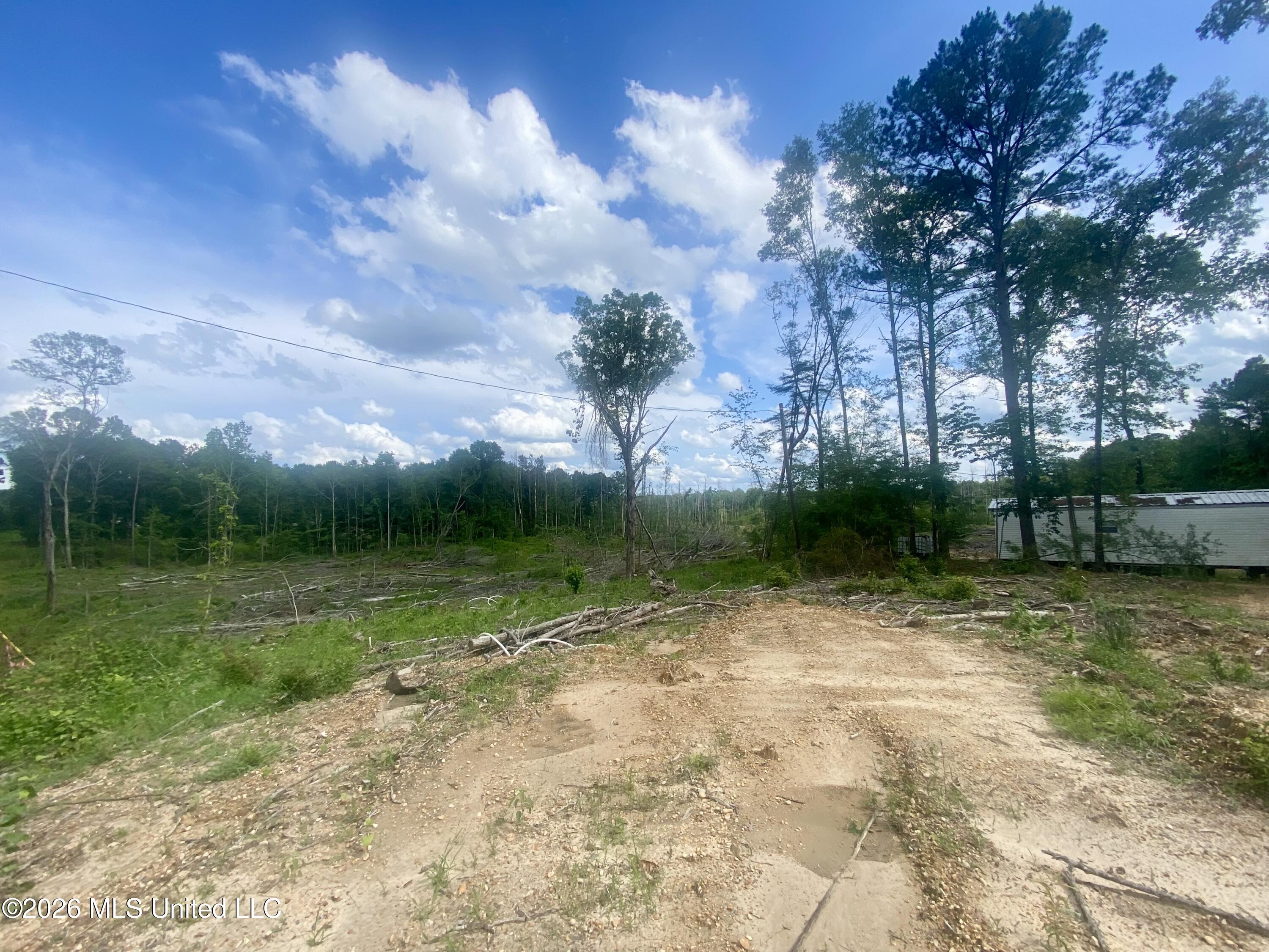 4194 Martinsville Road Wesson, MS 39191 - Photo 8 of 9 IMG_5907