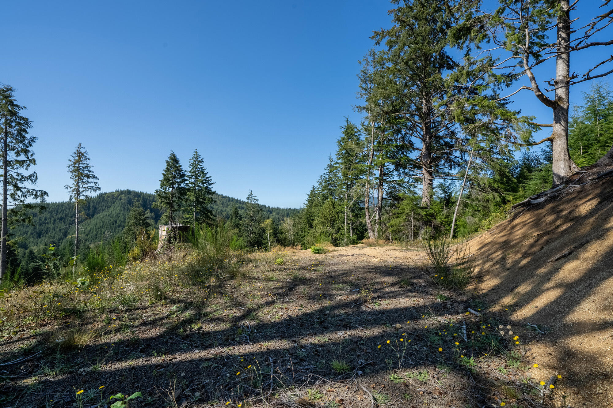 1207 Sandlake Road Cloverdale, OR 97112 - Photo 28 of 33 Road