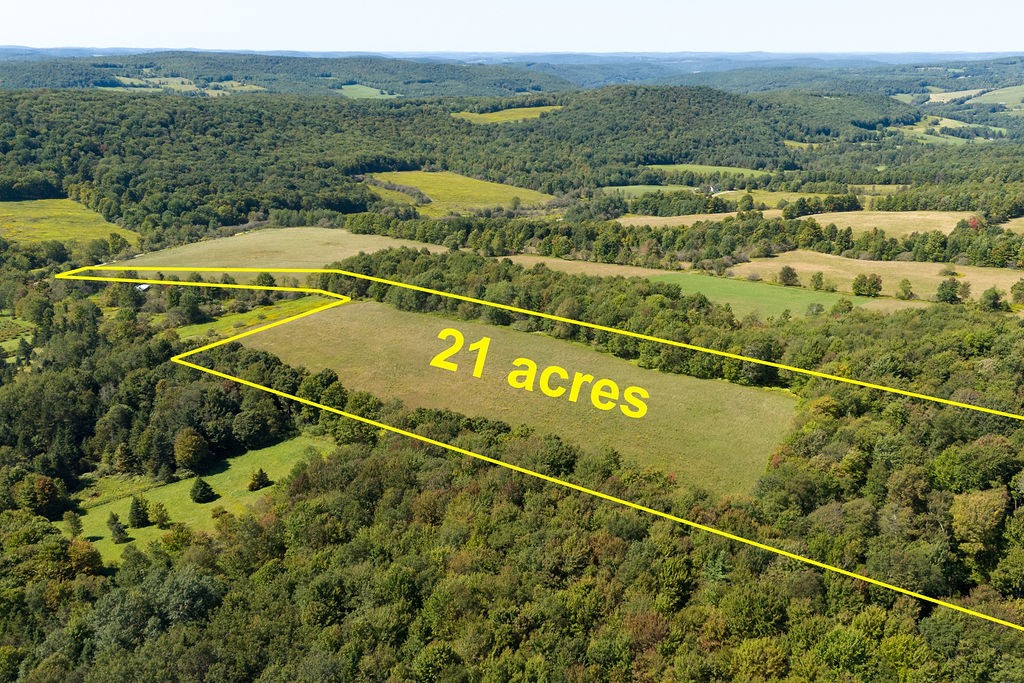 Lot 11 Warren Road Treadwell, NY 13846 - Photo 5 of 10