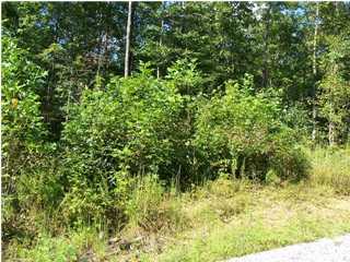 14 Adams Road Tracy City, TN 37387 - Photo 1 of 1 Primary Photo
