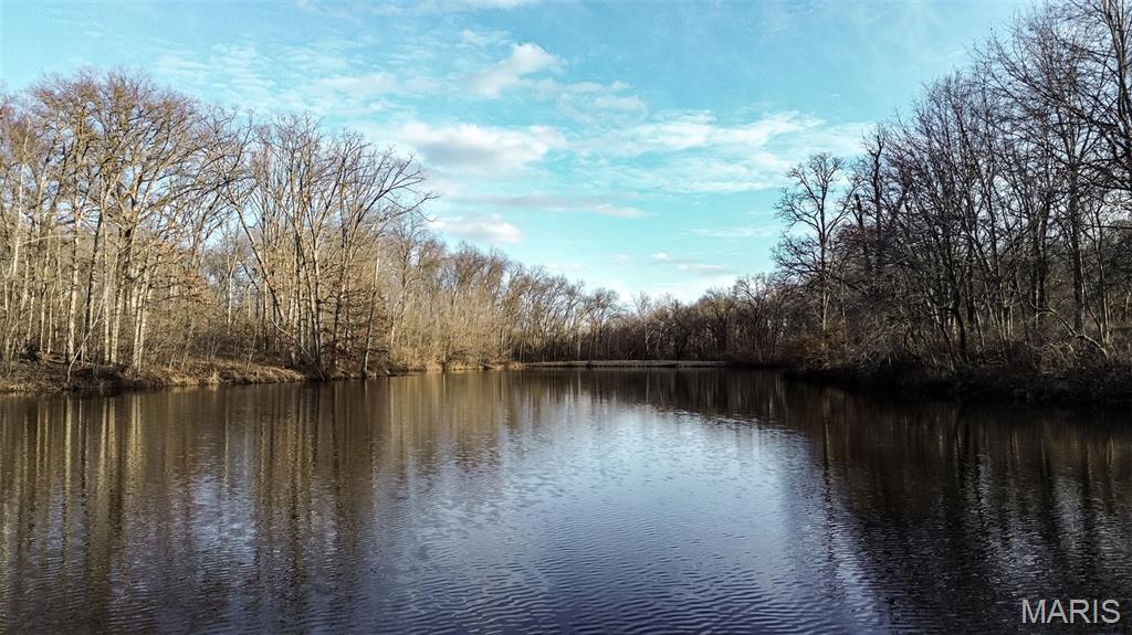 7536 Prairietown Road Worden, IL 62097 - Photo 64 of 96