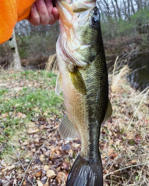 7536 Prairietown Road Worden, IL 62097 - Photo 66 of 96