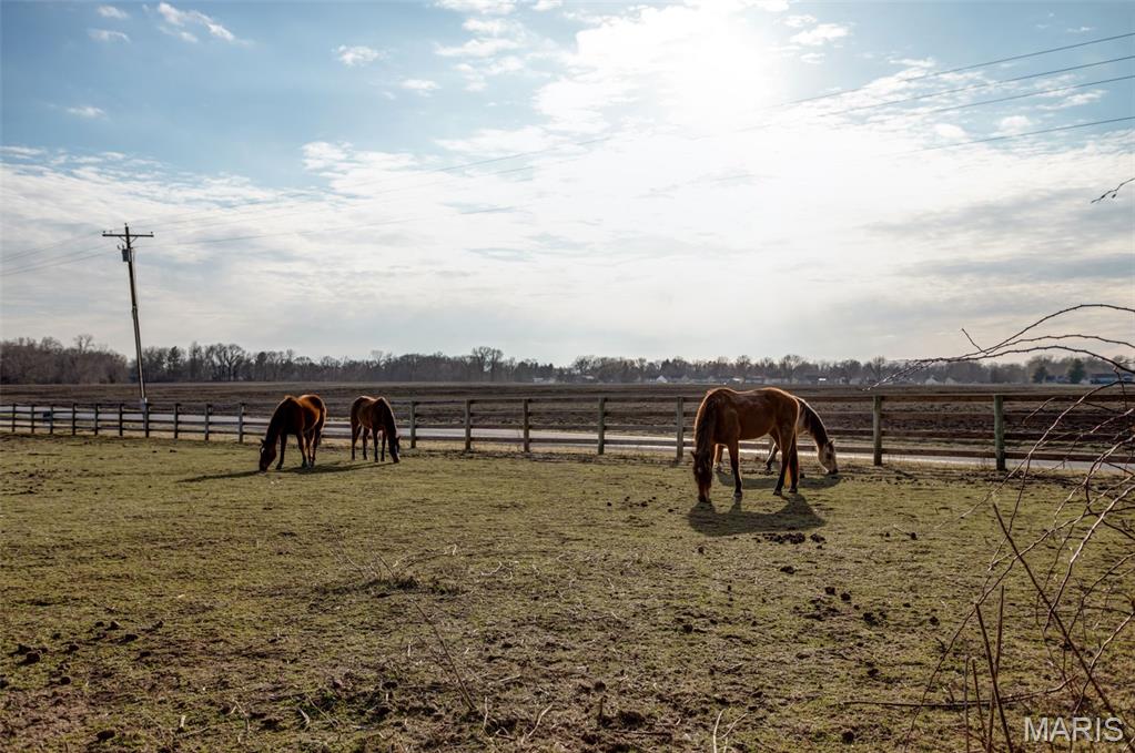 7536 Prairietown Road Worden, IL 62097 - Photo 90 of 96
