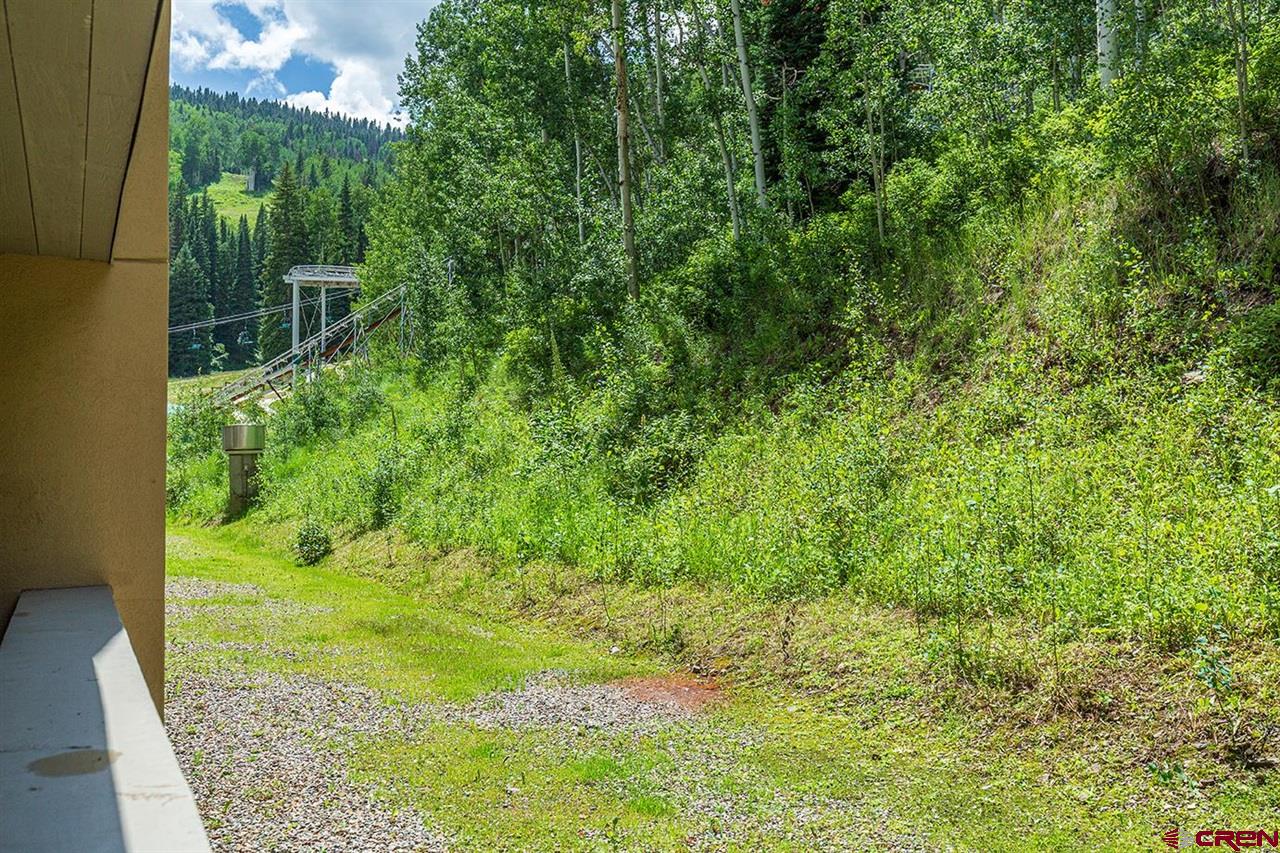 117 Needles Way, Unit 326 Durango, CO 81301 - Photo 14 of 23