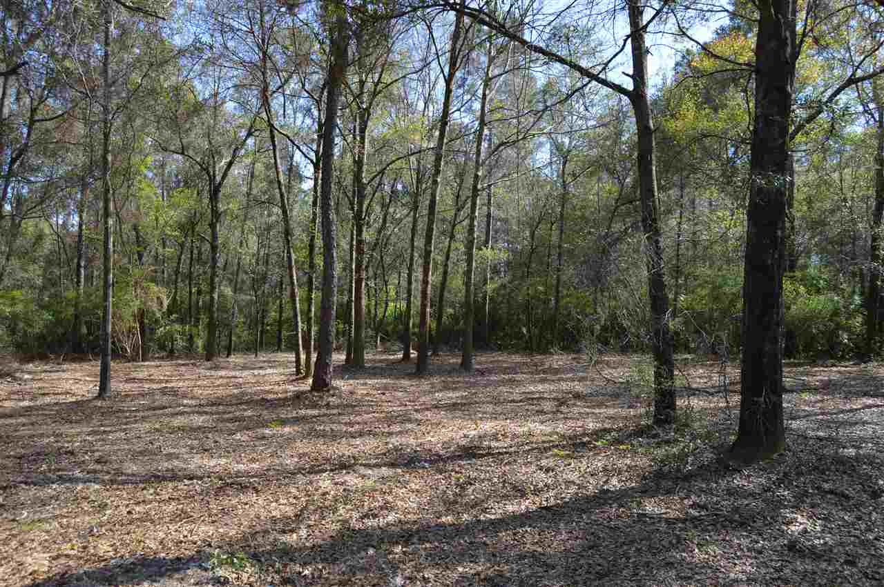 33070 Browns Landing Road Seminole, AL 36574 - Photo 7 of 31