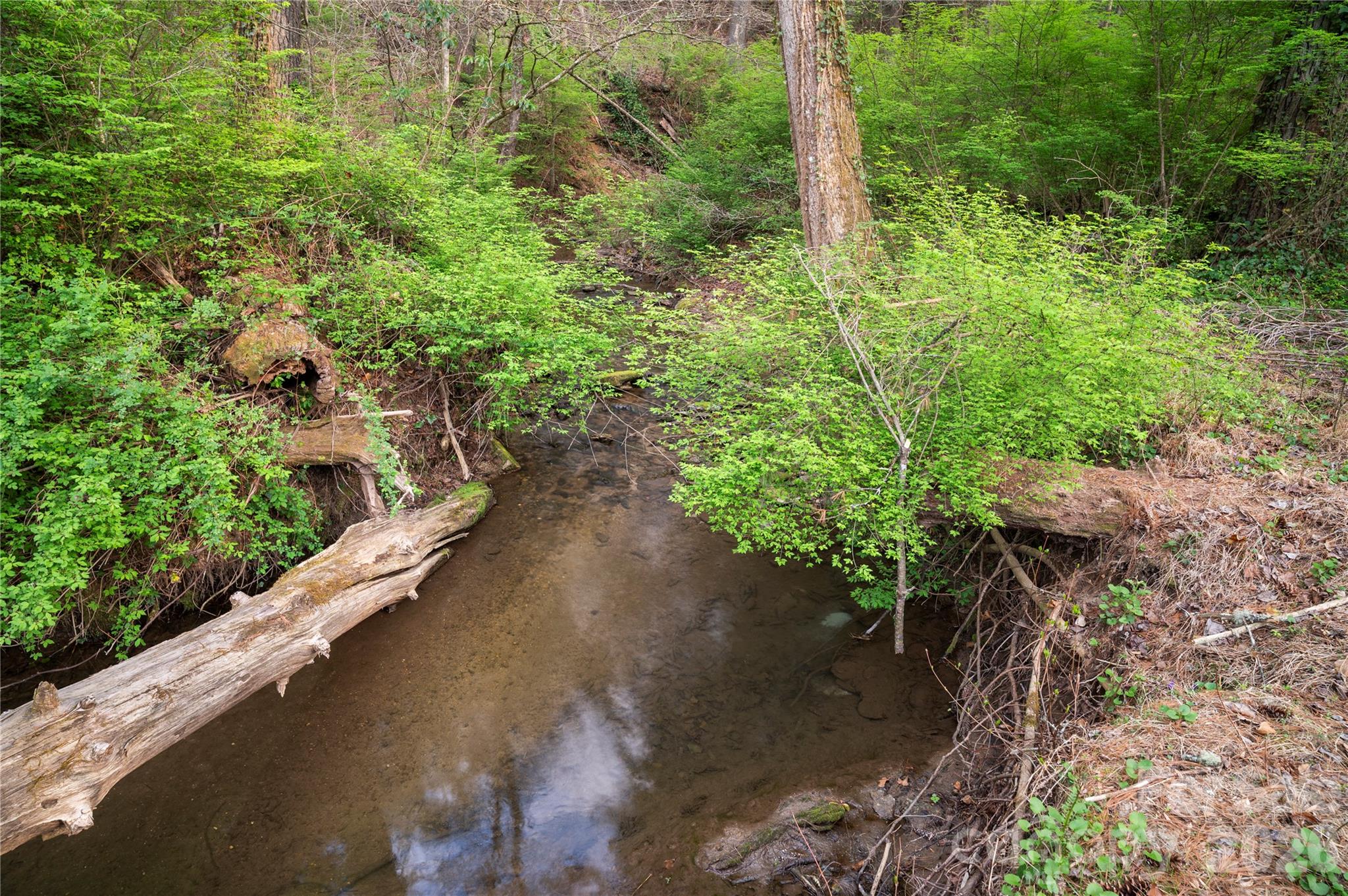 3002 Kanuga Road Hendersonville, NC 28739 - Photo 14 of 47