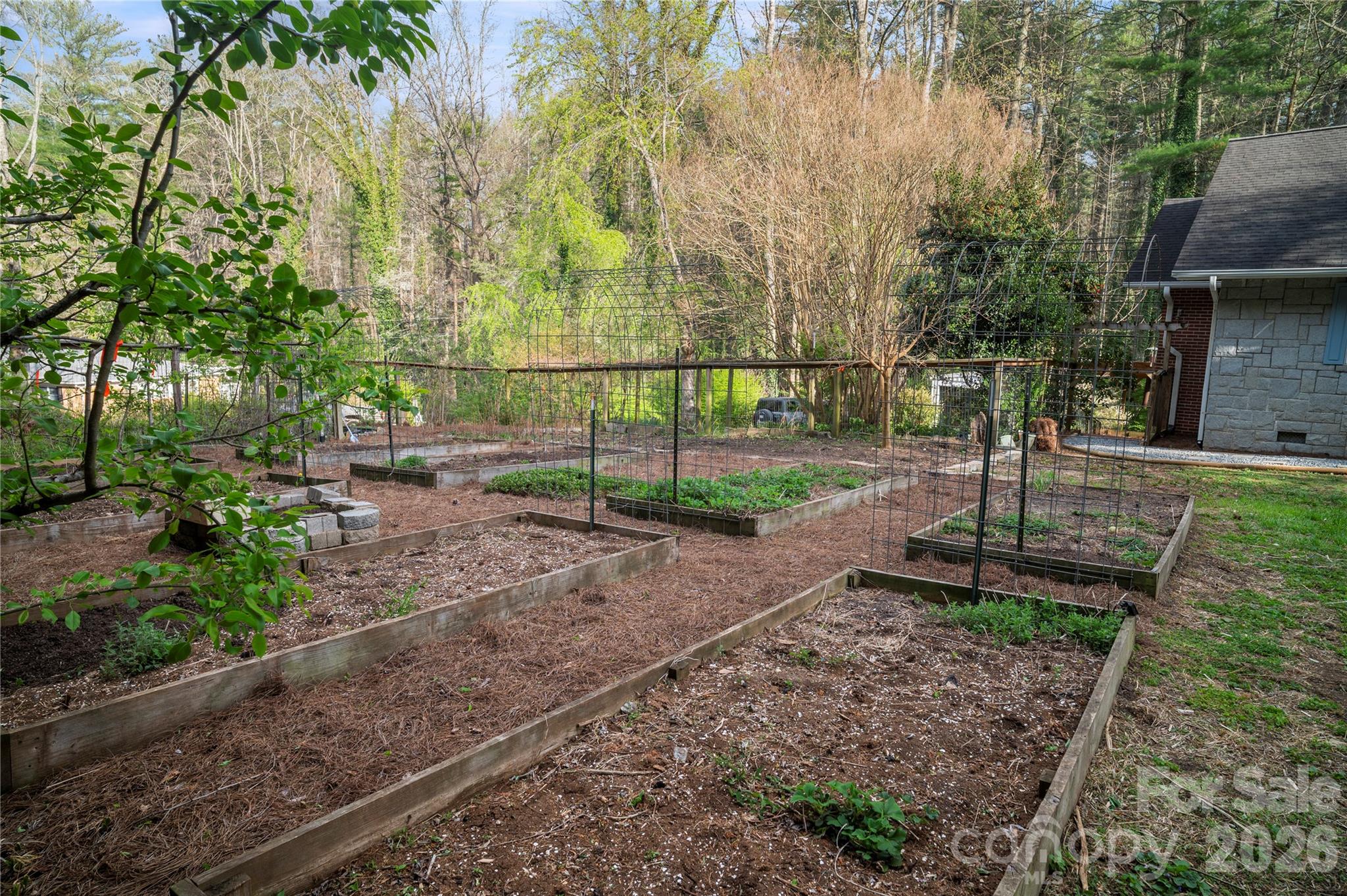 3002 Kanuga Road Hendersonville, NC 28739 - Photo 4 of 47