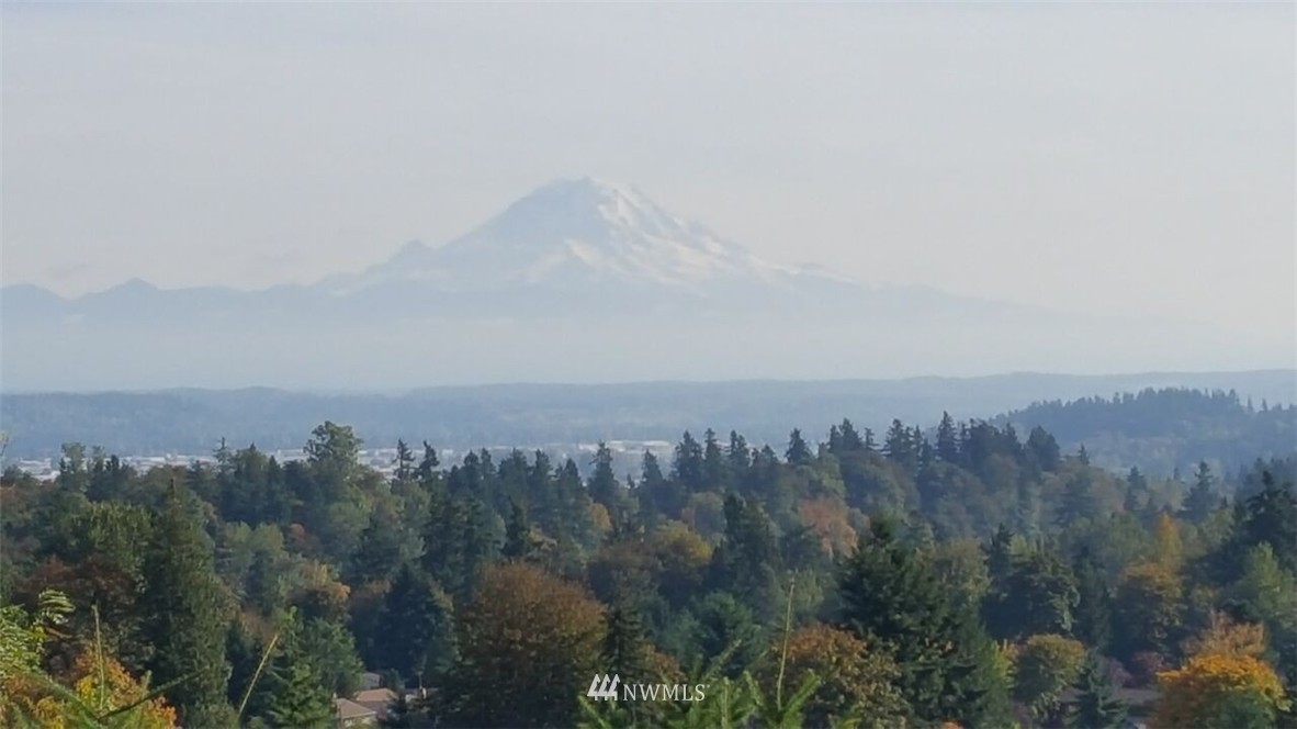 4237 South 252nd Street Kent, WA 98032 - Photo 9 of 24 Gallery Image 9