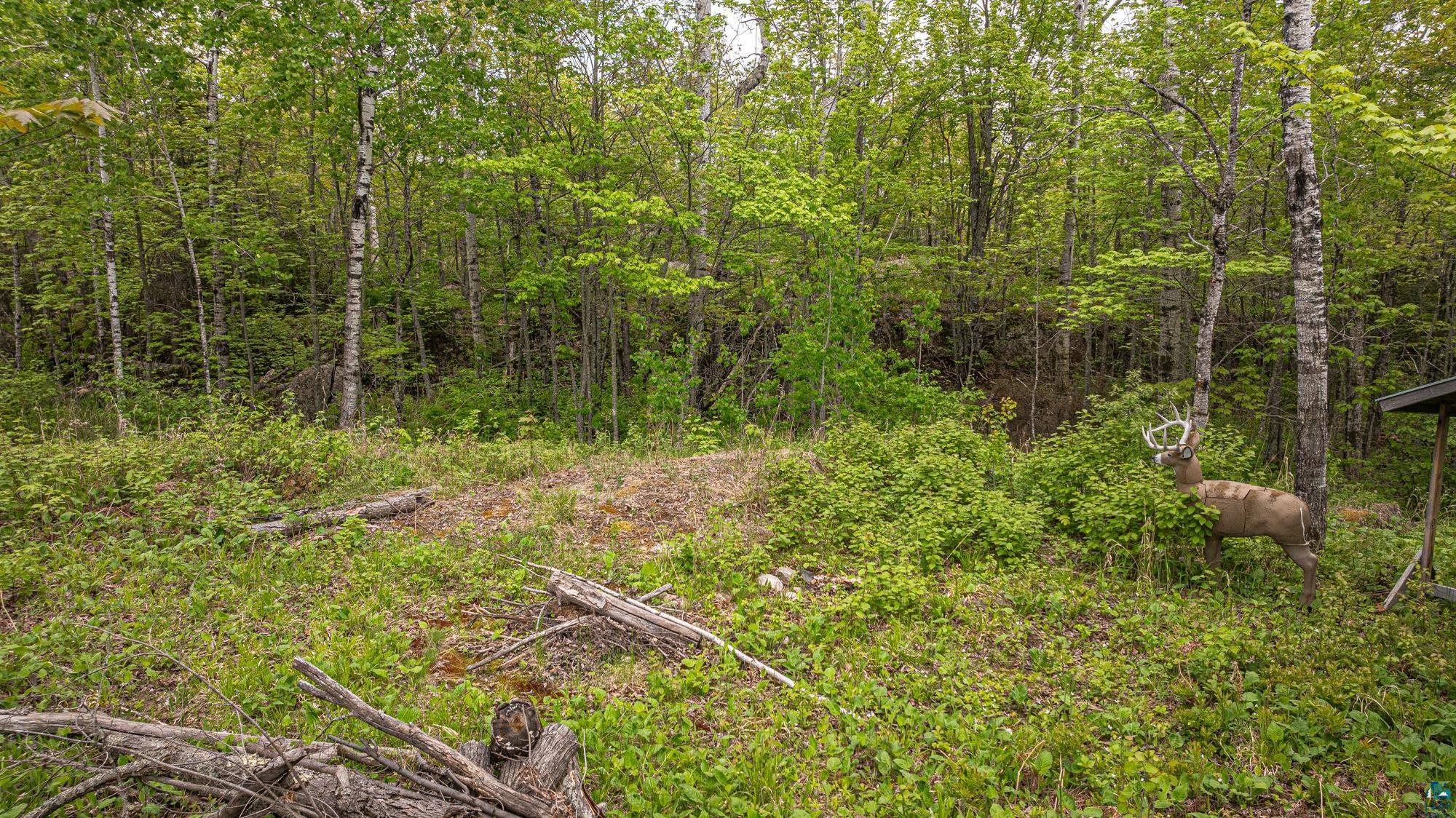 2148 Haapala Road Ely, MN 55731 - Photo 21 of 46