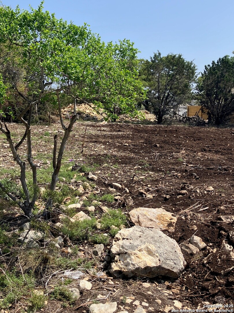 1652 Bob White Drive Spring Branch, TX 78070 - Photo 9 of 17