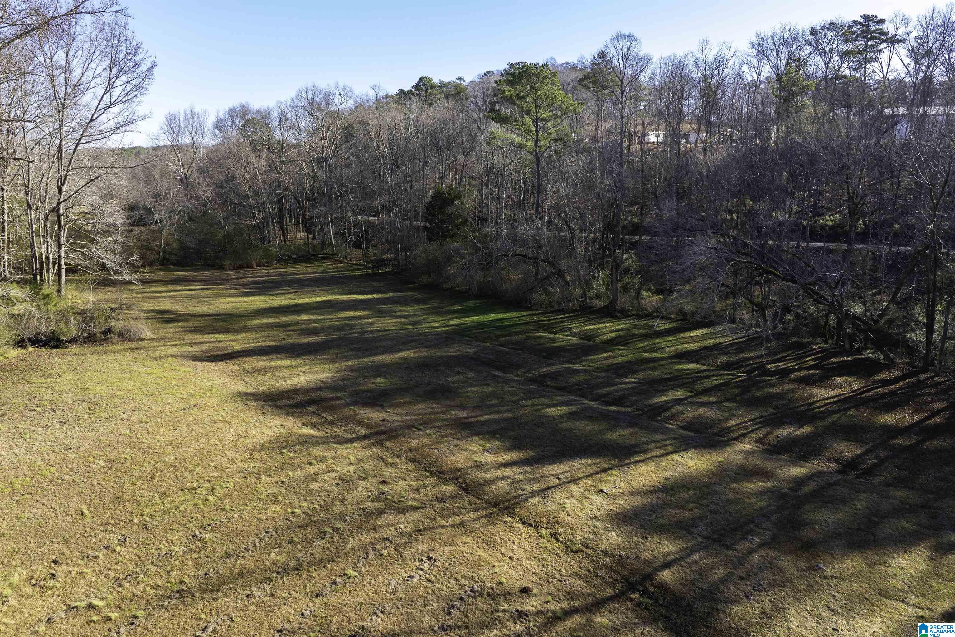 1775 Red Valley Road Remlap, AL 35133 - Photo 55 of 56