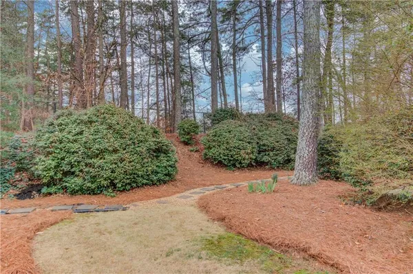 a view of a garden with pathway