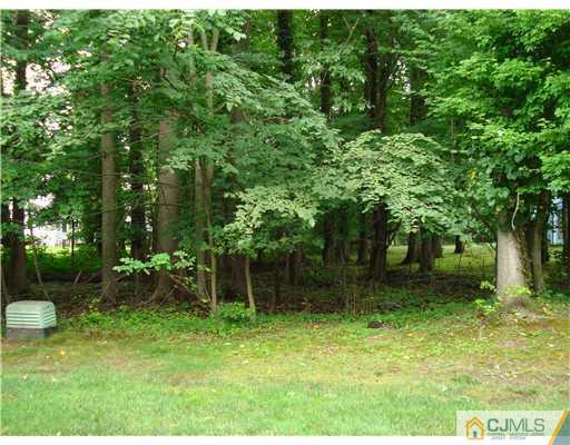 604 Timber Oaks Road Edison, NJ 08820 - Photo 5 of 18 a backyard of a house with lots of green space