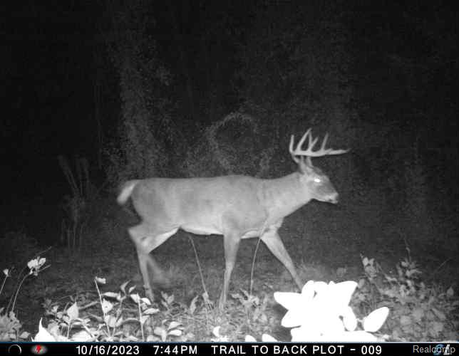 0 Ripple Way White Lake, MI 48383 - Photo 11 of 48 Attachment.JPG