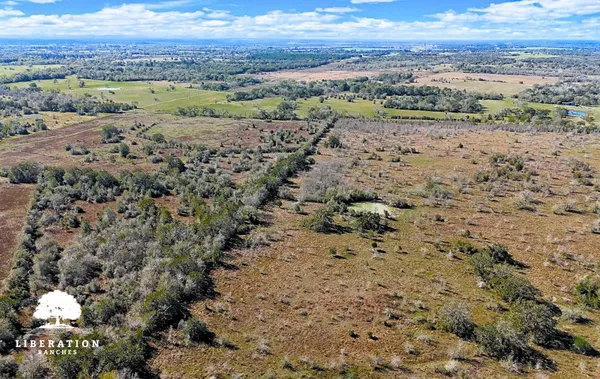 a view of a field with a mountain and trees in the background