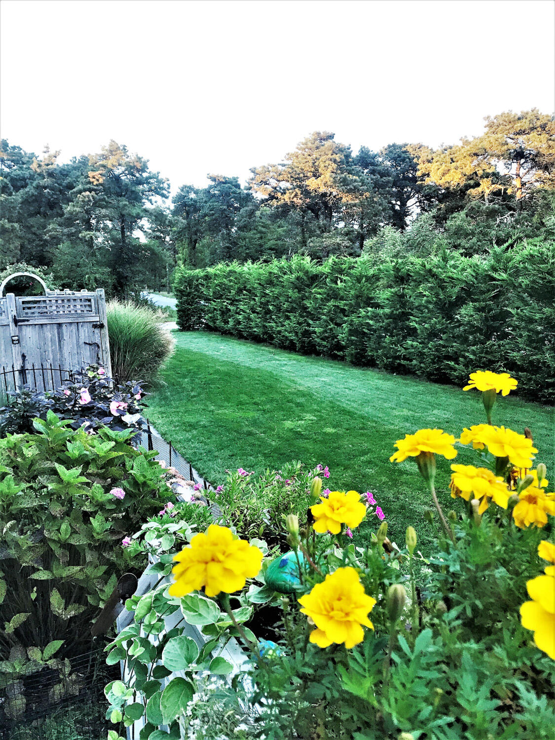 92 Old South Road Nantucket, MA 02554 - Photo 4 of 21 92 Old South Road Nantucket_4