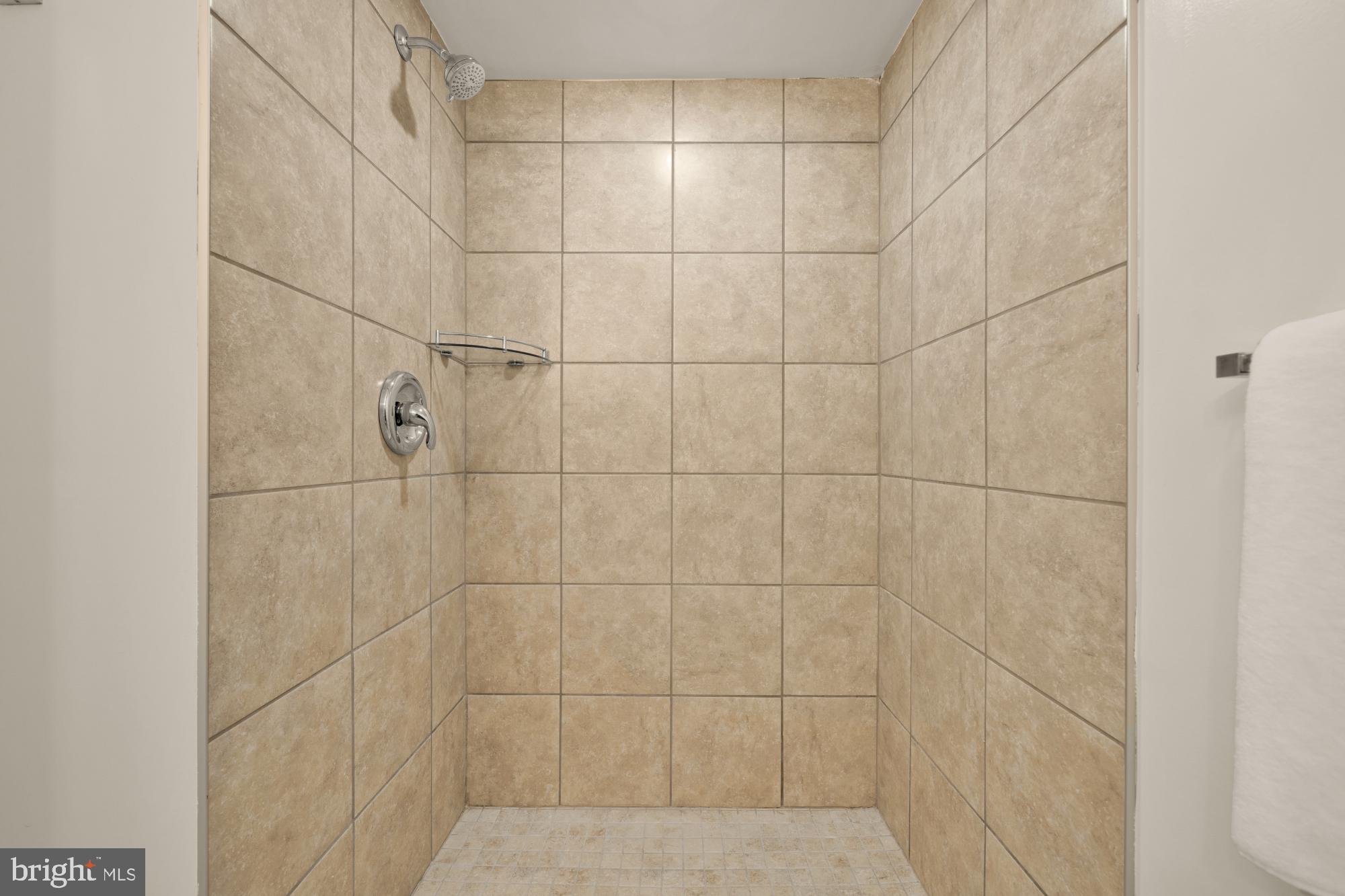 6112 Paulonia Road Alexandria, VA 22310 - Photo 40 of 48 a bathroom with a shower