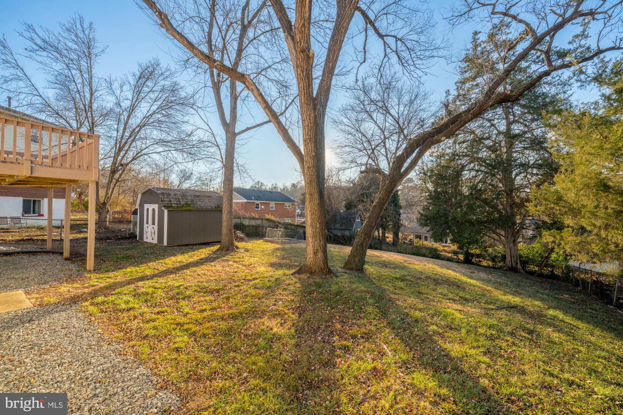 6112 Paulonia Road Alexandria, VA 22310 - Photo 47 of 48 a view of a yard with a tree