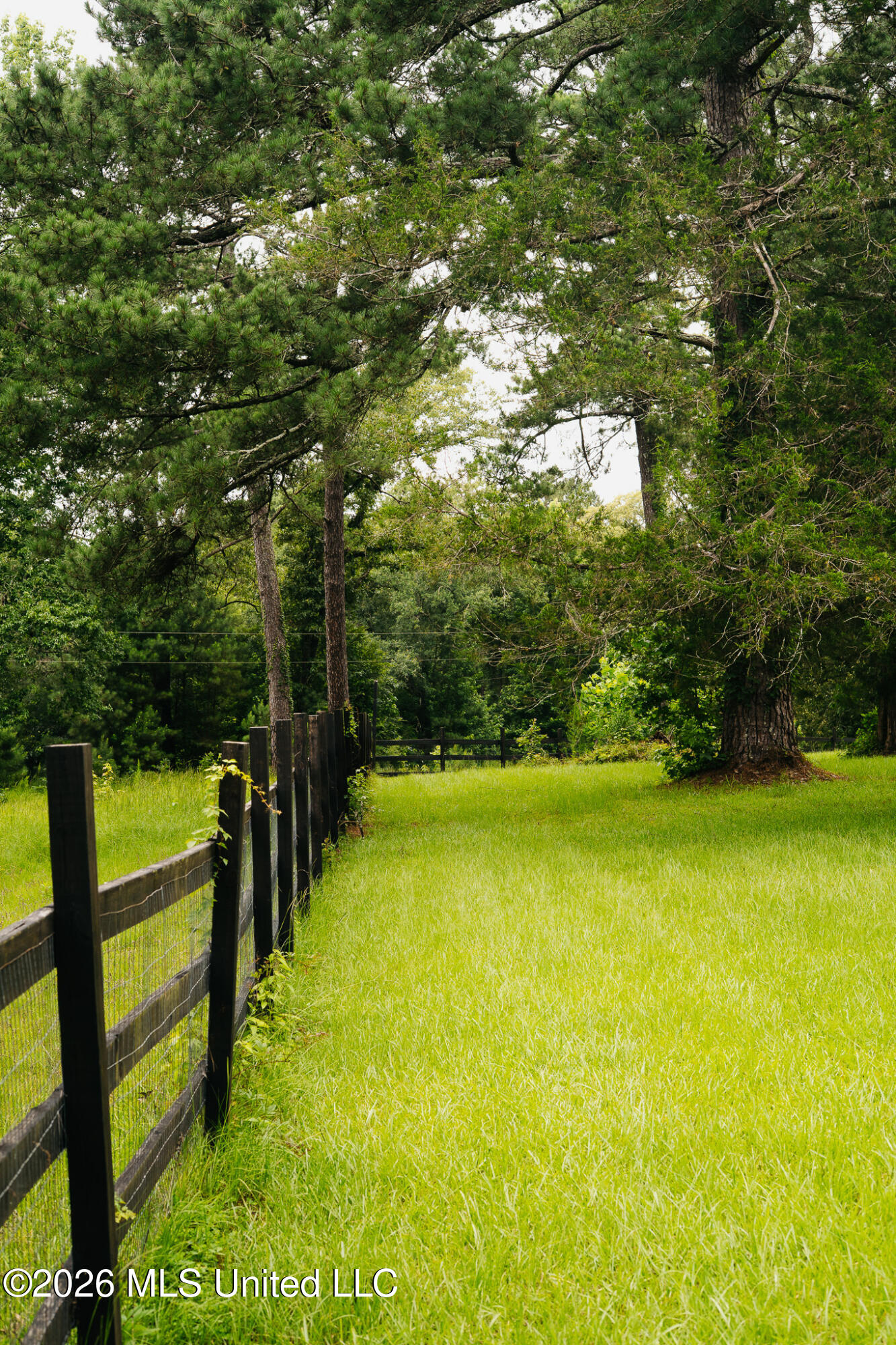 2139 Warren Hood Road Hermanville, MS 39086 - Photo 71 of 115 Front Yard