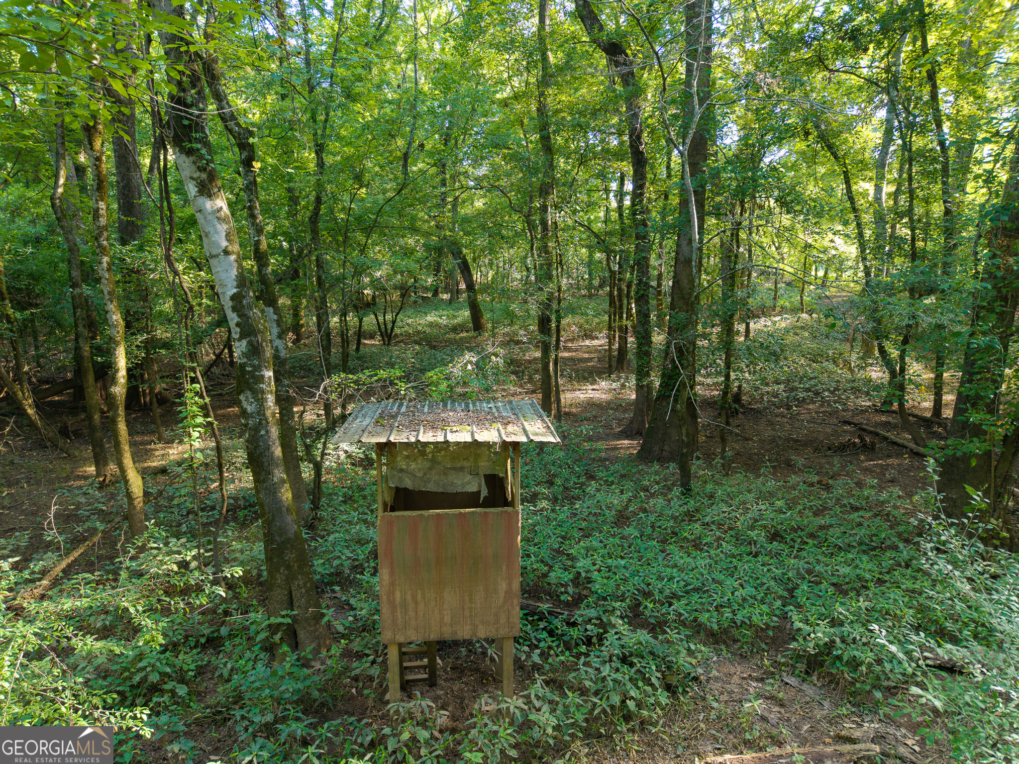 583 Treisch Road Pineview, GA 31071 - Photo 11 of 53 a view of a park