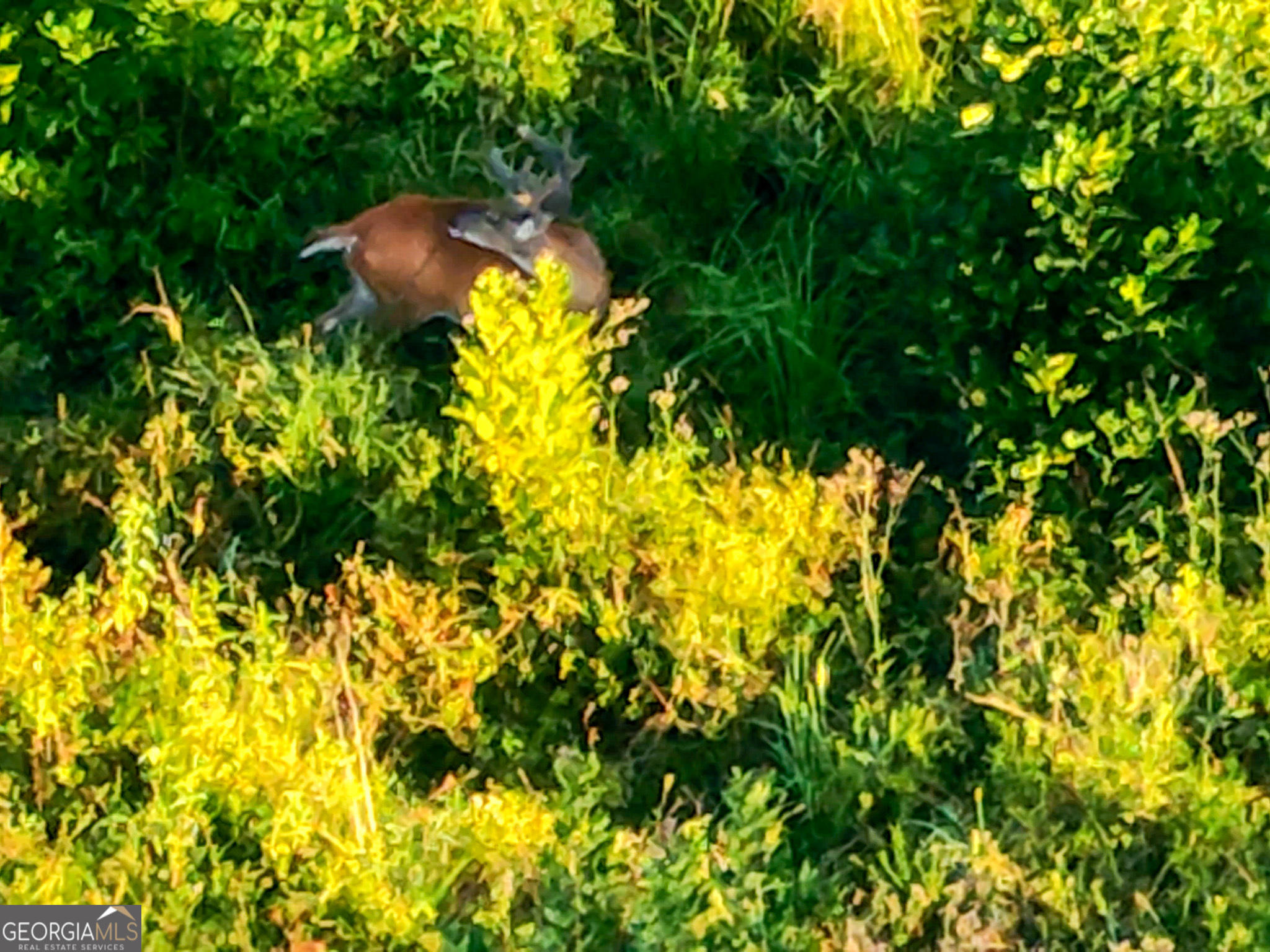 583 Treisch Road Pineview, GA 31071 - Photo 12 of 53