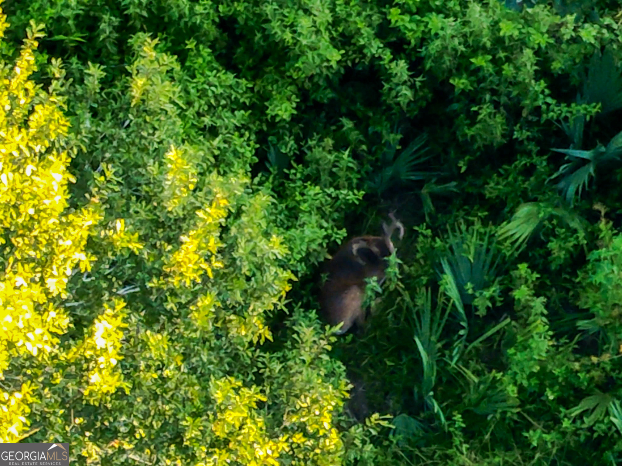 583 Treisch Road Pineview, GA 31071 - Photo 15 of 53