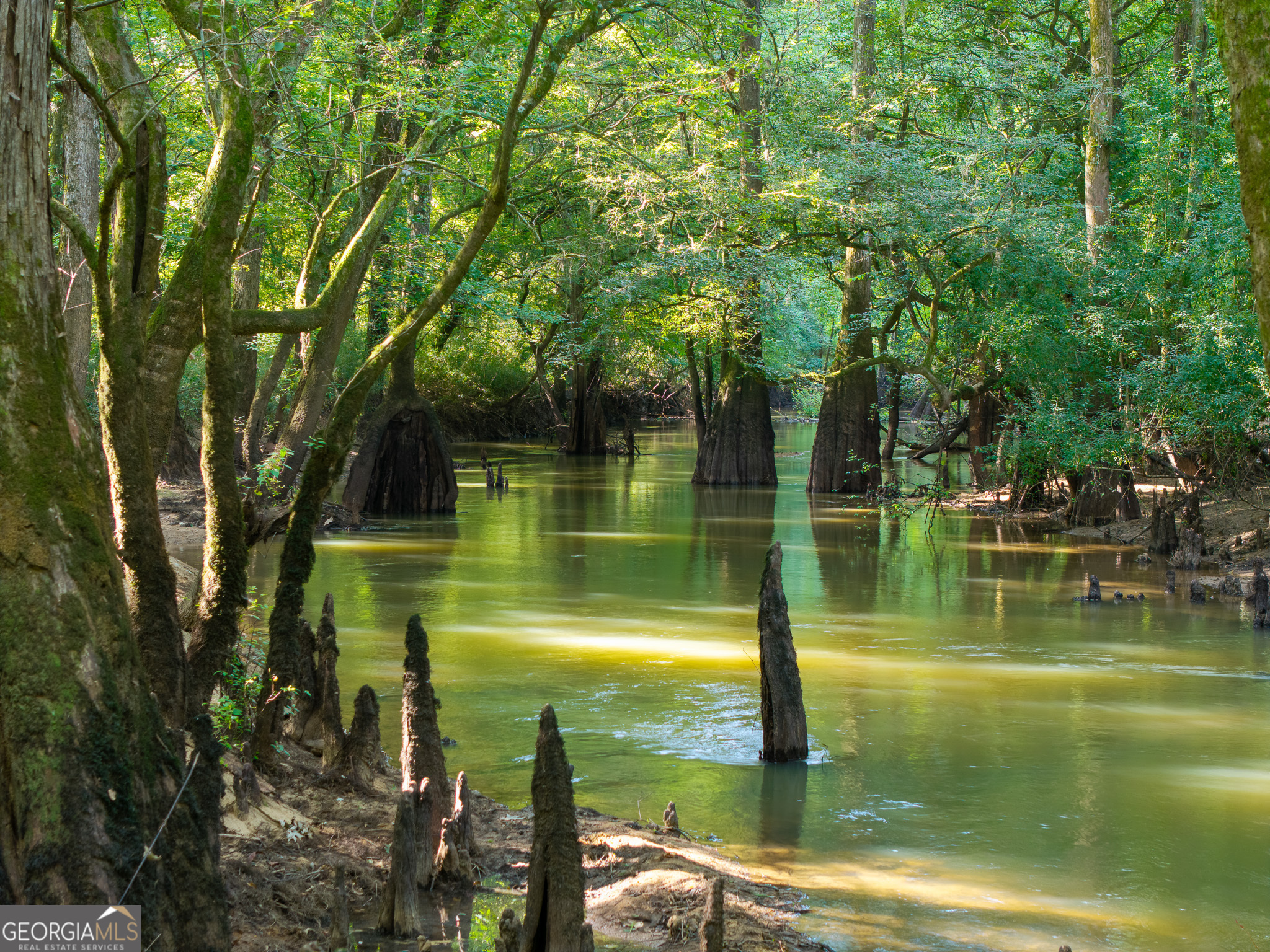583 Treisch Road Pineview, GA 31071 - Photo 2 of 53 a view of a lake view