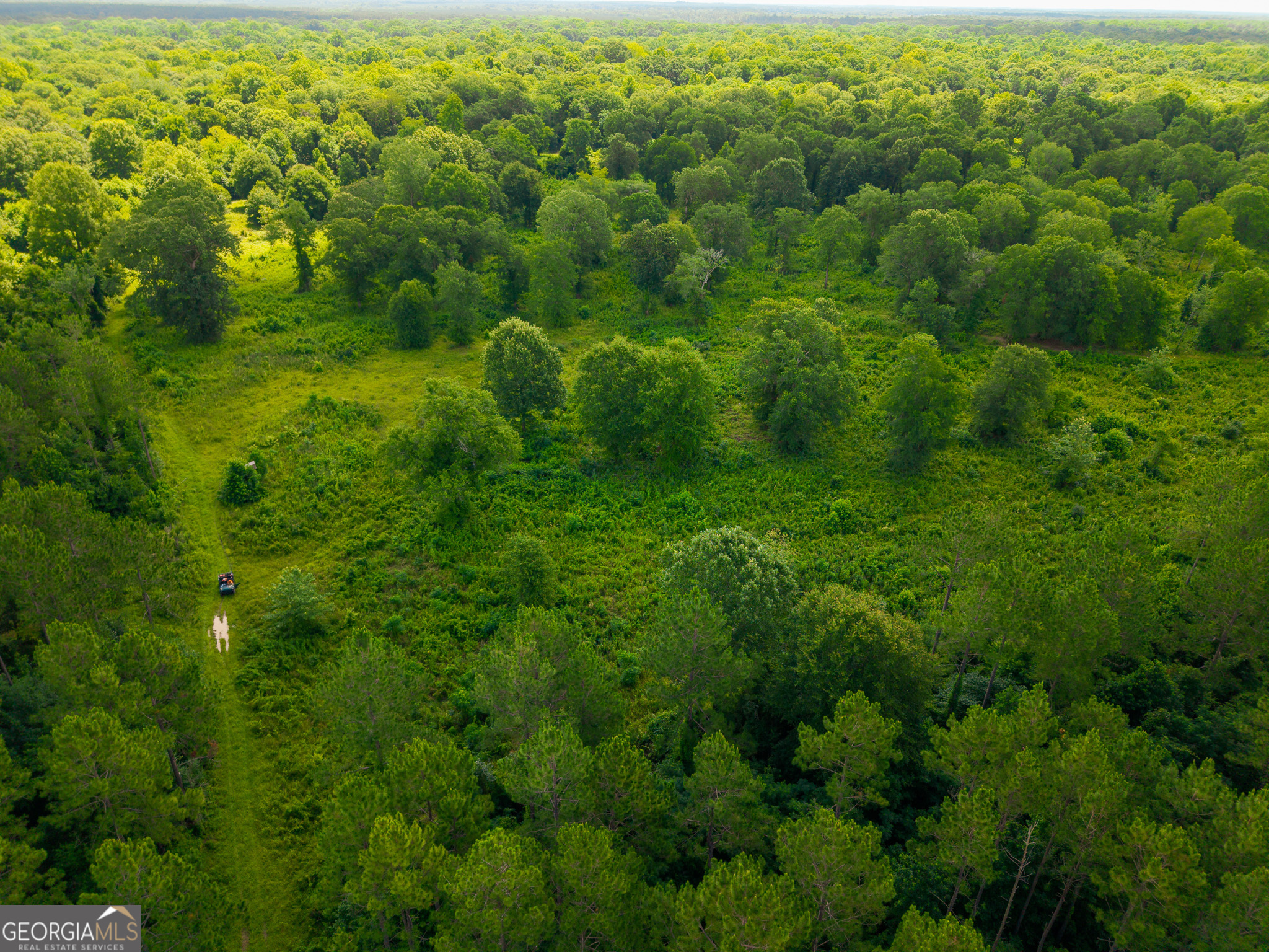 583 Treisch Road Pineview, GA 31071 - Photo 21 of 53 a view of a forest with a street