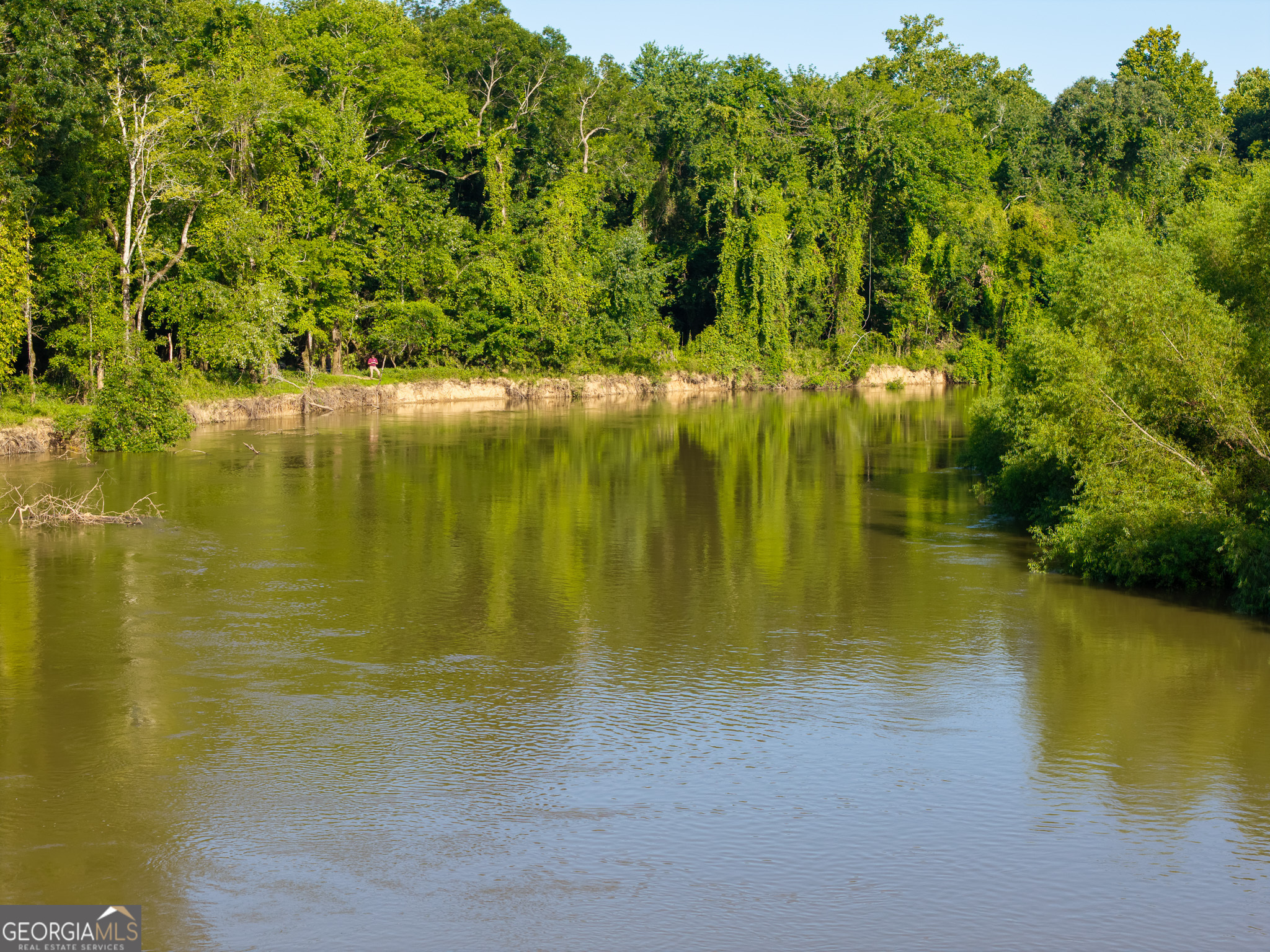 583 Treisch Road Pineview, GA 31071 - Photo 23 of 53 a view of an ocean