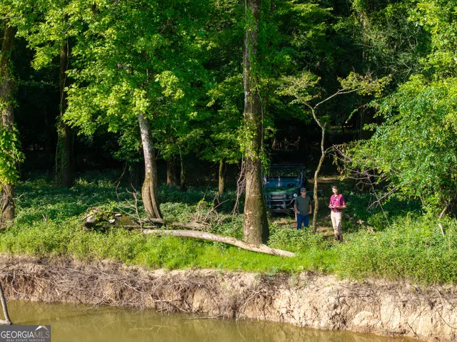 a view of back yard of the house