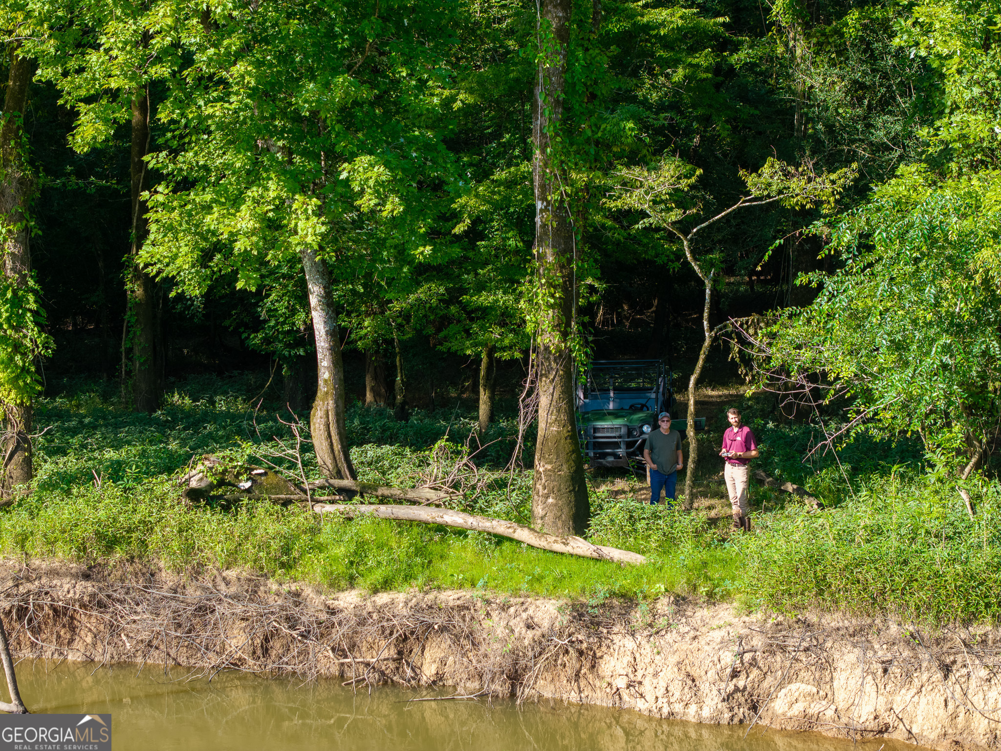 583 Treisch Road Pineview, GA 31071 - Photo 24 of 53 a view of swimming pool with a patio and a yard