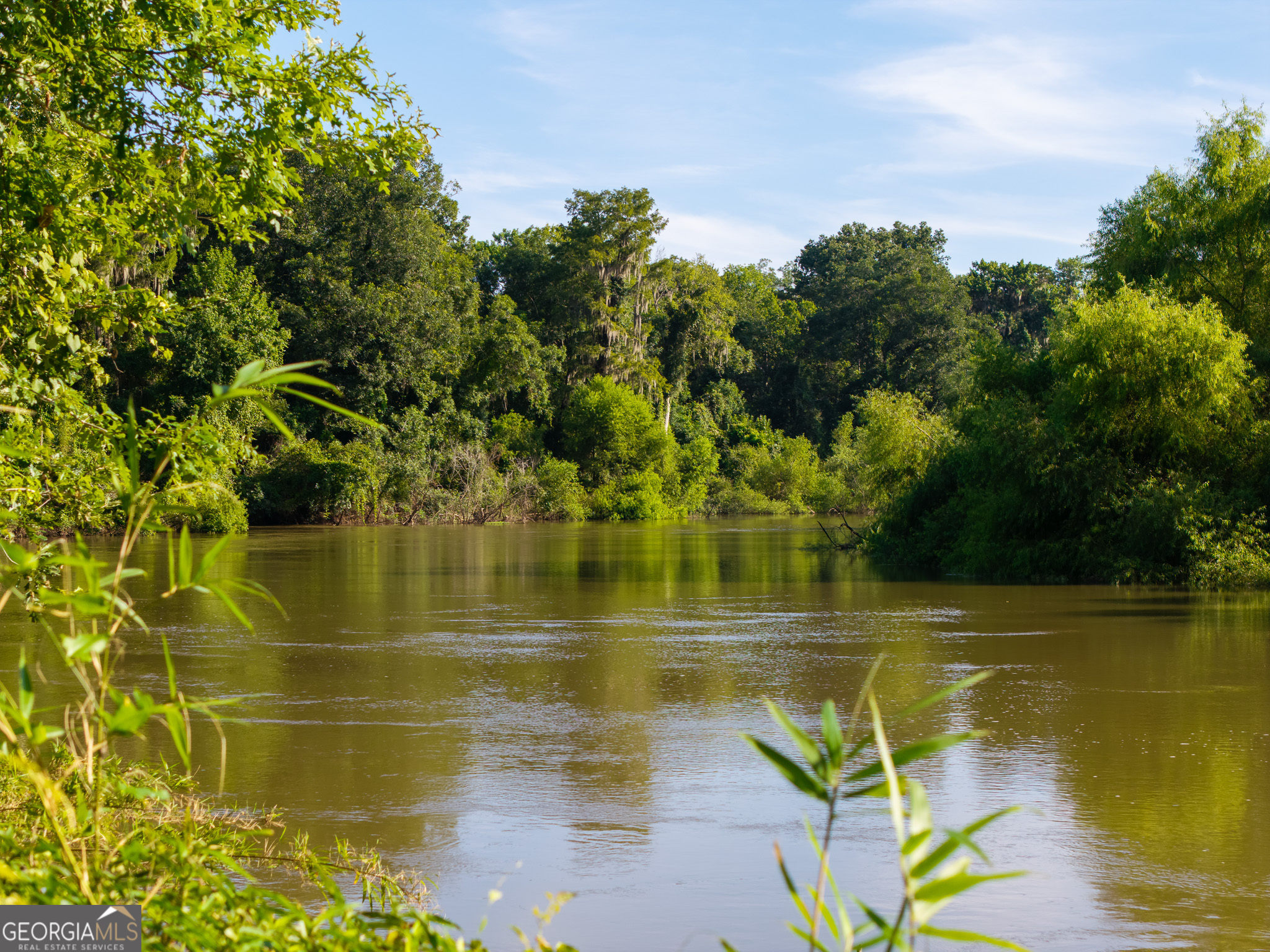 583 Treisch Road Pineview, GA 31071 - Photo 25 of 53 a view of a lake view