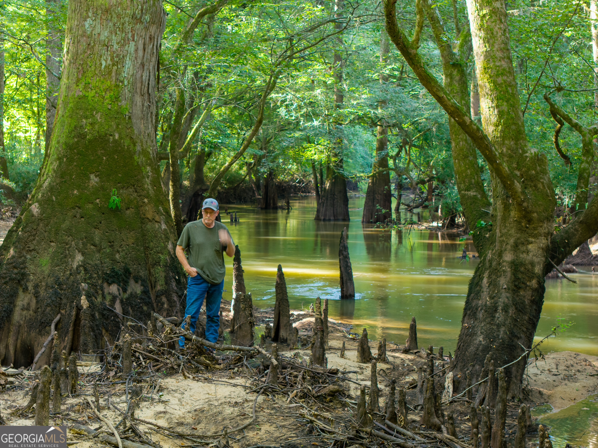 583 Treisch Road Pineview, GA 31071 - Photo 26 of 53 a view of a lake view