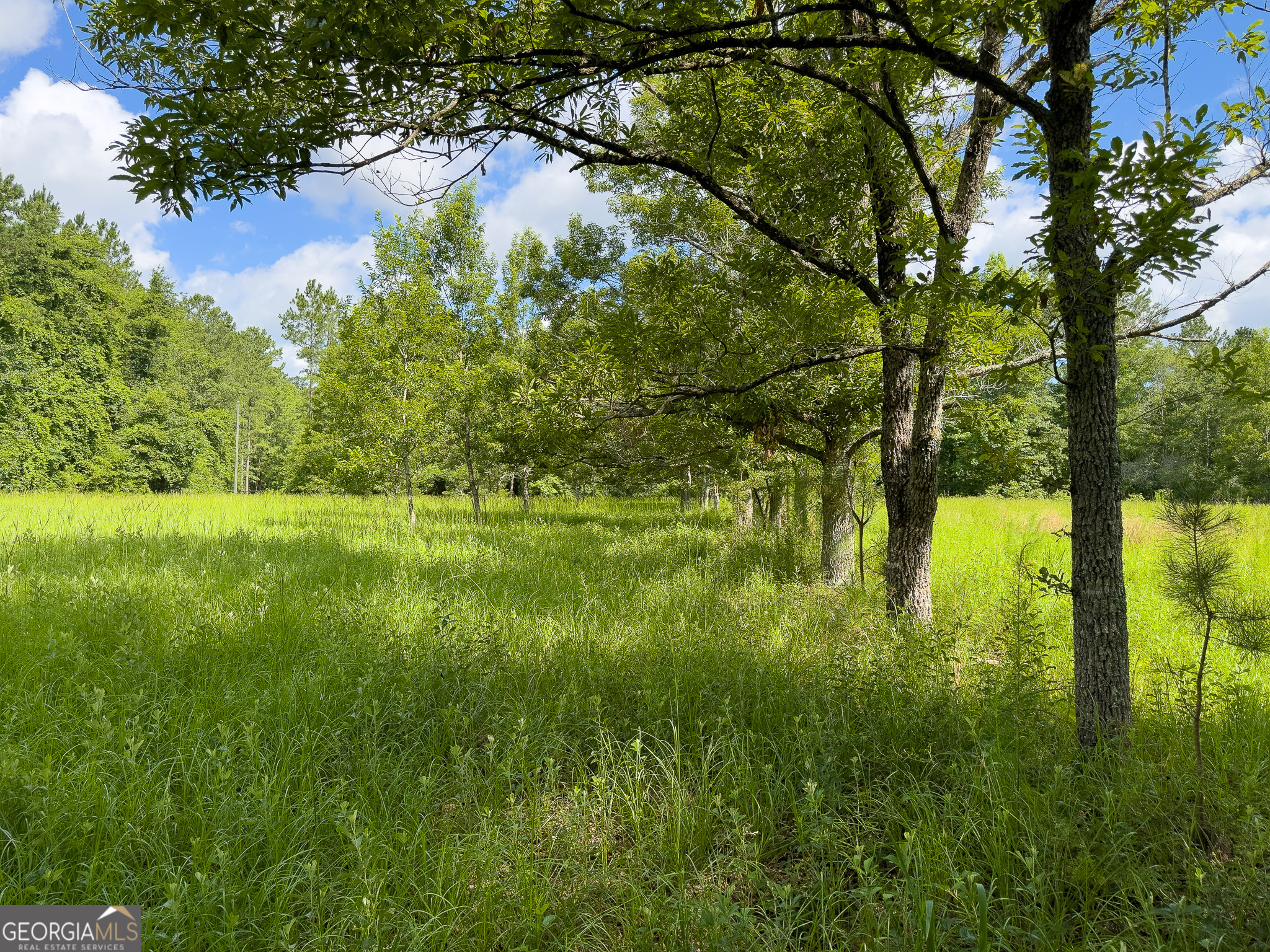 583 Treisch Road Pineview, GA 31071 - Photo 33 of 53 a view of lake view