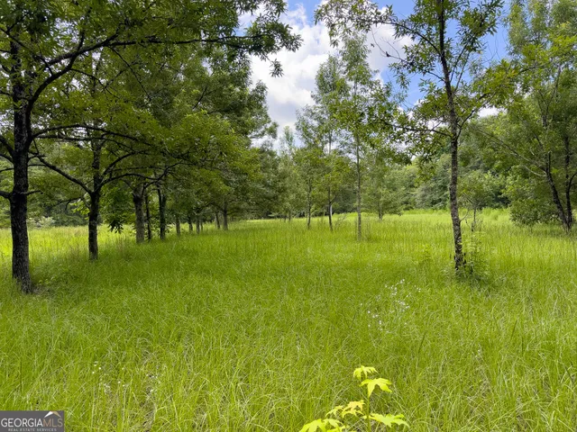 a backyard of a house with lots of green space