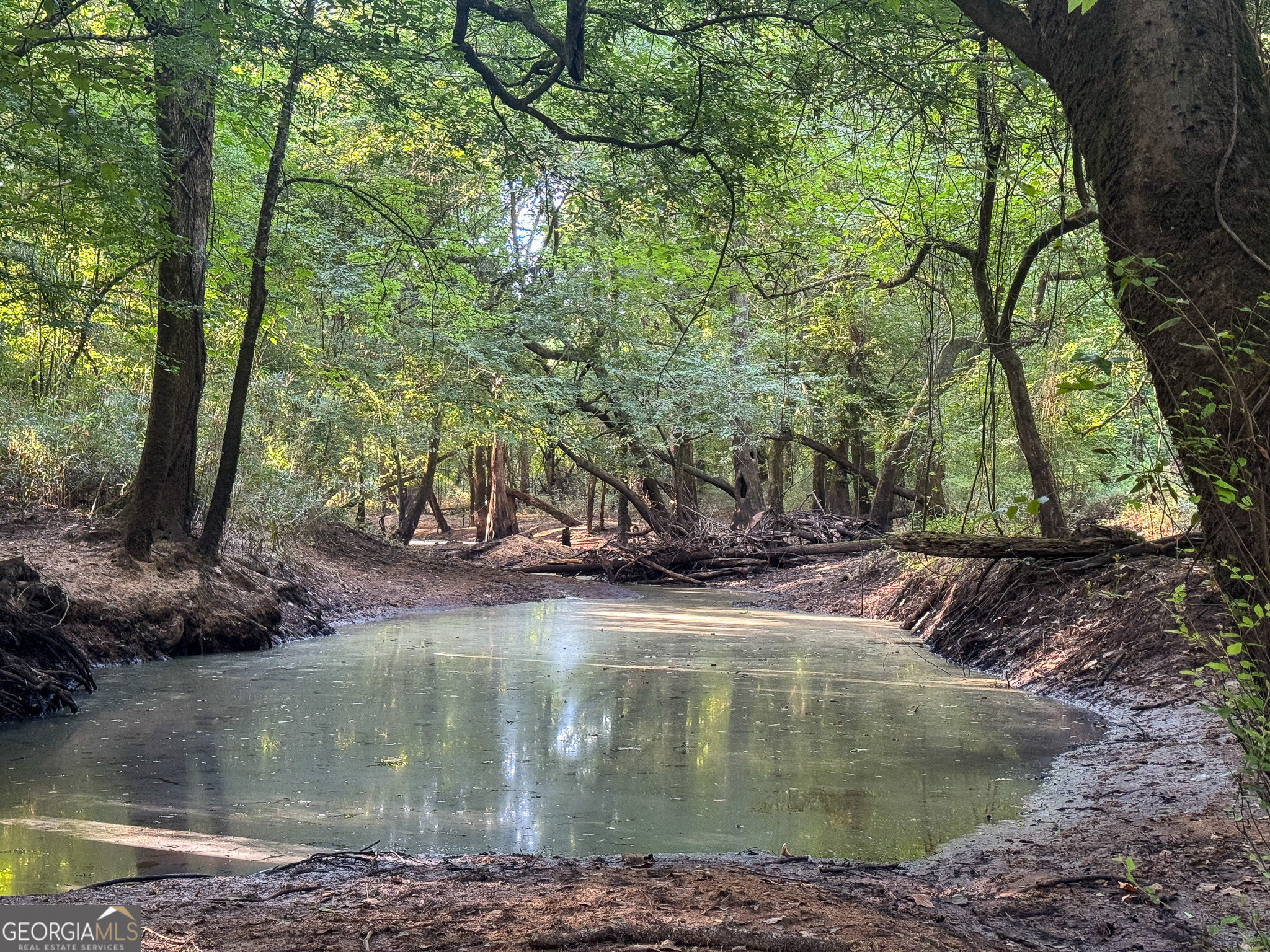 583 Treisch Road Pineview, GA 31071 - Photo 39 of 53 a view of a lake with a tree