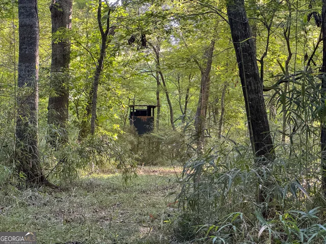 a backyard of a house