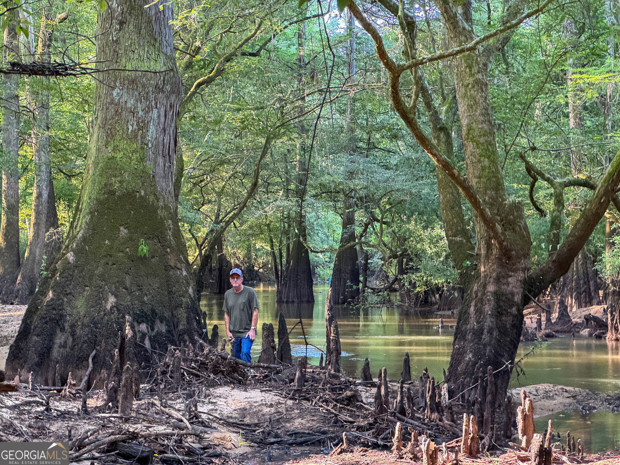 583 Treisch Road Pineview, GA 31071 - Photo 43 of 53 a backyard of a house with lots of green space