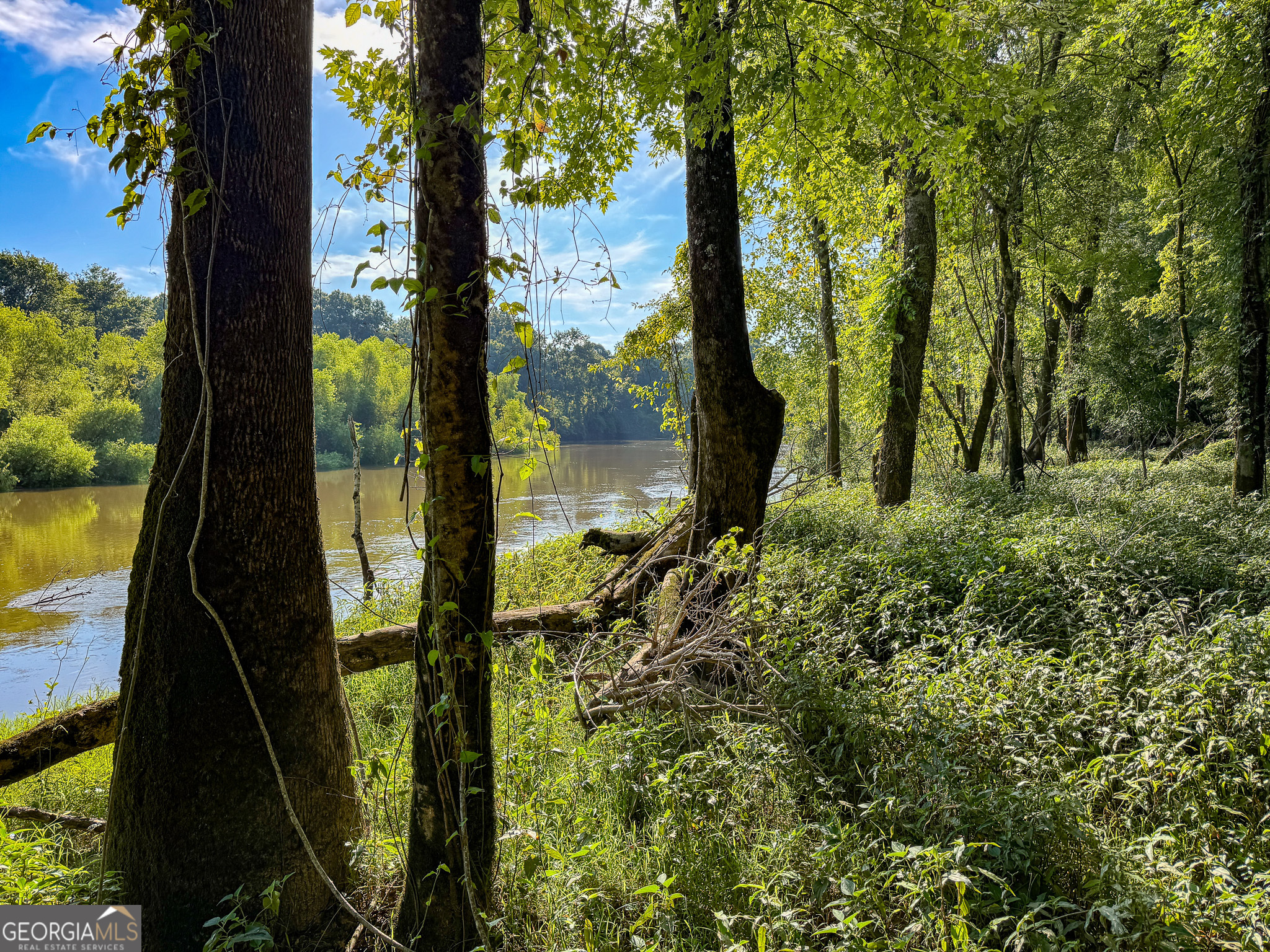 583 Treisch Road Pineview, GA 31071 - Photo 47 of 53 a view of a yard